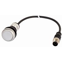 C22-DRL-W-K10-24-P1 Kompakt prosvětlené