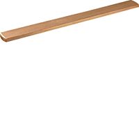 Sběrnice HAGER CU 20x5mm 246,5 mm