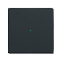 ABB Kryt 2CKA006220A0137 1násobný, bez potisku; antracitová; SR-1-81