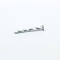 ARKYS Vrut M6x60 se 6-ti hranou hlavou nerez (bal = 100 ks)