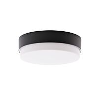 LED-1L15E500/IN-184 NK3H C 3K