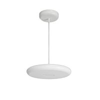 LED-1L641E950ZST/FP91/L100 B DALI 4K#