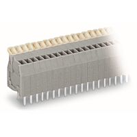 Svorka WAGO 234-248 48p