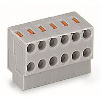 WAGO Svorka 252-156 2vodičová pružinová Tlačítko PUSH WIRE®, šedá