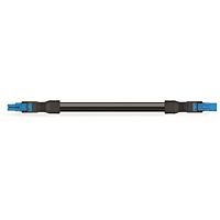WAGO Kabel 891-8382/066-201 Konfekcionovaný propojovací Zásuvka–zástrčka, modrá