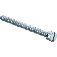 KAISER  Šroub plombovací mosazný 3,2x40 mm