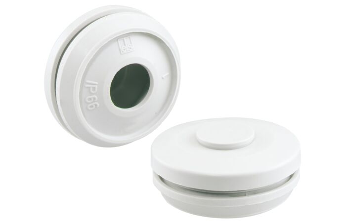 DMS M20/w