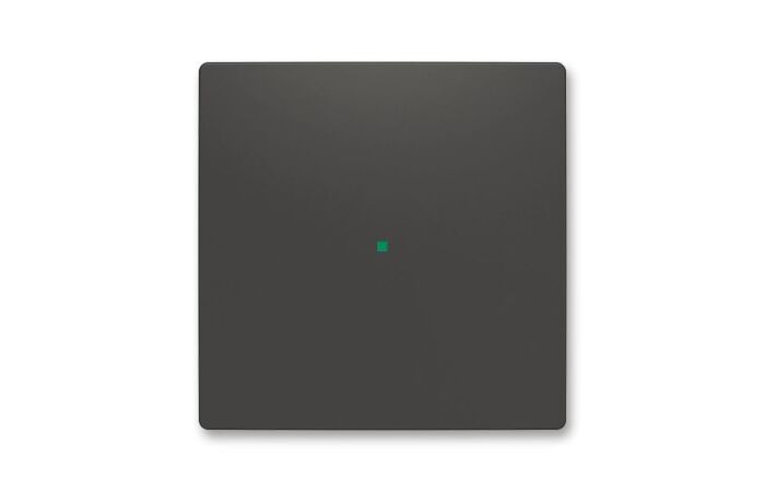 ABB Kryt ZONI 6220T-A01000 237 ovládání 1násobný, bez potisku matná černá