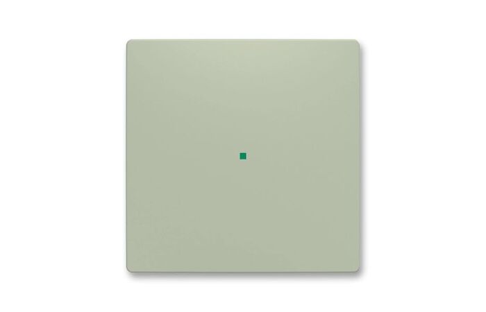 ABB Kryt ZONI 6220T-A01000 243 ovládání 1násobný, bez potisku olivová