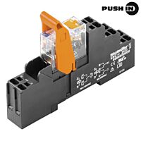 RCIKITP 24VDC 1CO LD/PB