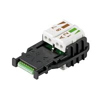 IE-PI-RJ45-FH-B-1.1