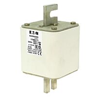 170M6184 Ultra rychlá pojistka pro ochra