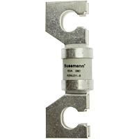 40Amp 415Vac FEEDER PILLAR FUSE