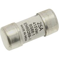 STREET LIGHTING FUSE >25A