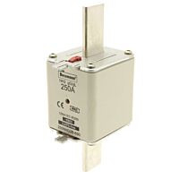 250NHG2B Pojistka NH gG/gL 500V 250A 2 d