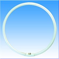 FUB Trubice 40W/2700 YH kruh G10q T6