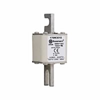 170M3018 Ultra rychlá pojistka pro ochra