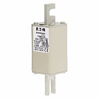 170M3145 Ultra rychlá pojistka pro ochra