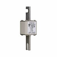 170M3163 Ultra rychlá pojistka pro ochra