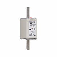 170M3815D Ultra rychlá pojistka pro ochr