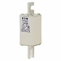 170M3990 Ultra rychlá pojistka pro ochra