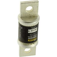 TRON FAST ACTING FUSE CLASS T JJS-110