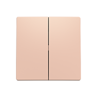 ABB ZONI Ovladač 3559T-A00652 242 spínače dělený, pudrová