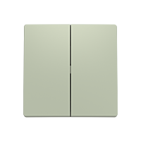 ABB ZONI Ovladač 3559T-A00652 243 spínače dělený, olivová