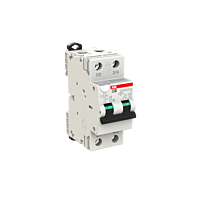 DS202CR M C6 A30 110V